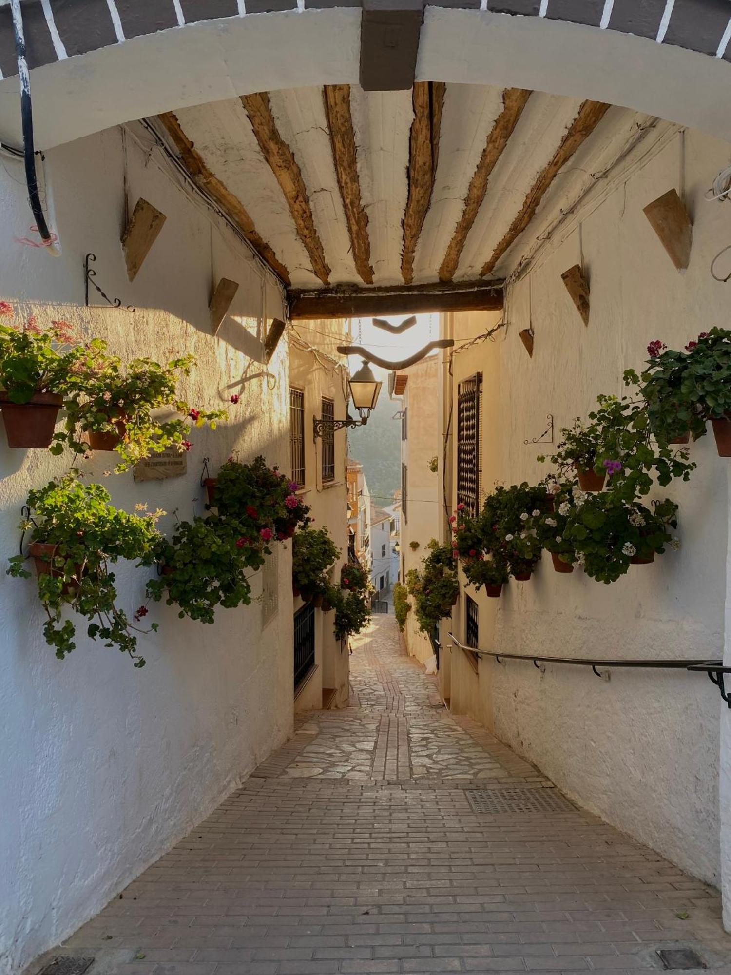 Alojamiento Rural Mar De Olivos كاستريل المظهر الخارجي الصورة