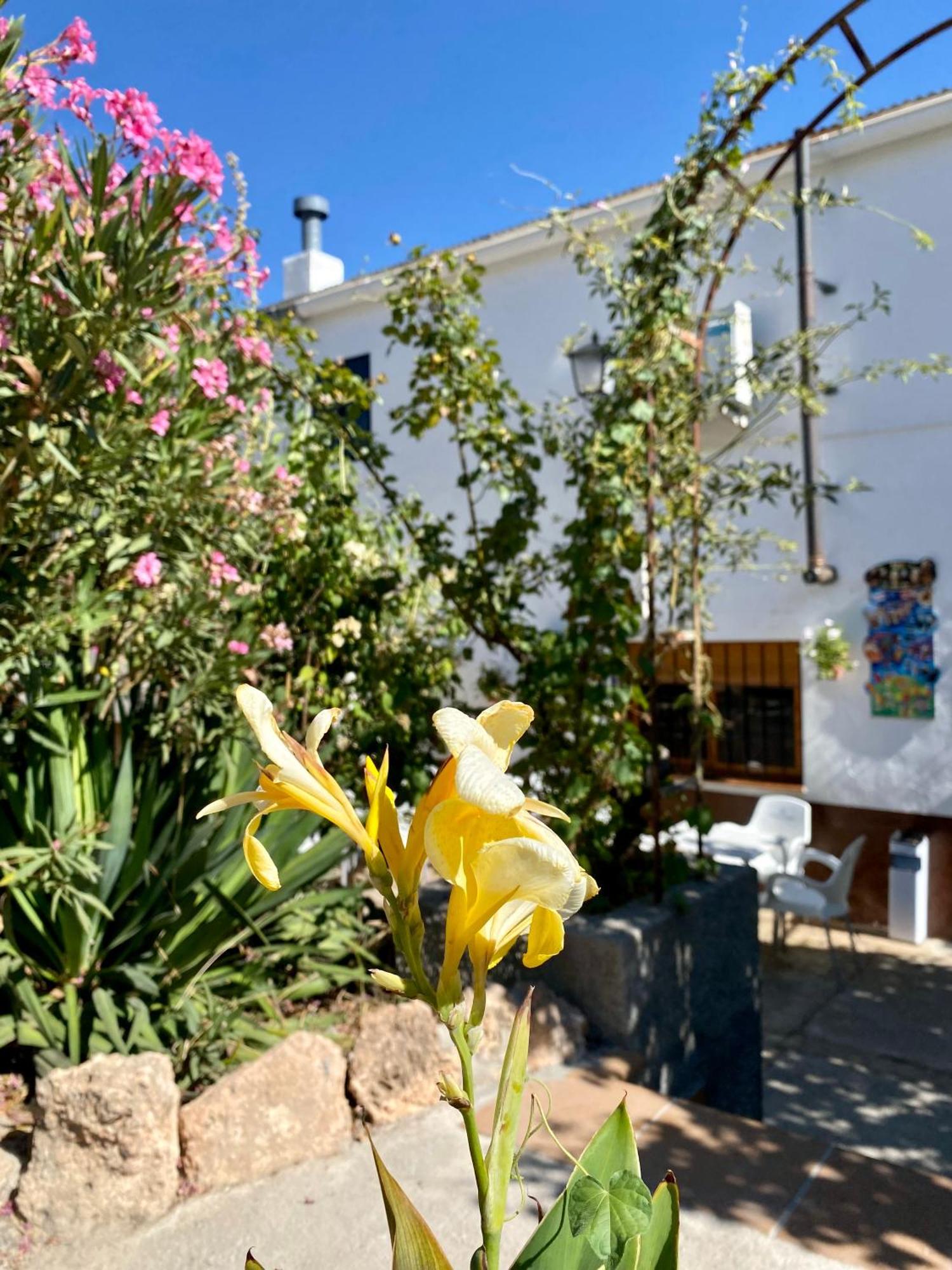 Alojamiento Rural Mar De Olivos كاستريل المظهر الخارجي الصورة